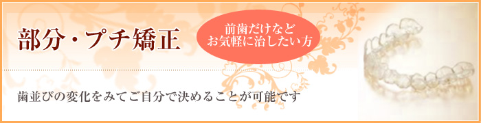 �����E�v�`�����@�O�������Ȃǂ��C�y�ɋ������Ȏ��ÂŎ����������@�����т̕ω����݂Ă������Ō��߂邱�Ƃ��\�ł�